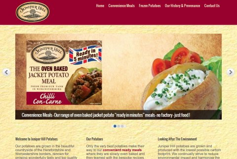 Website & Blog Design